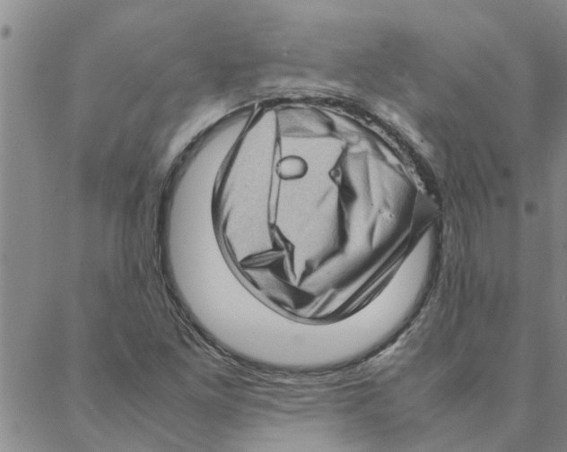 X0000088361261200706191209