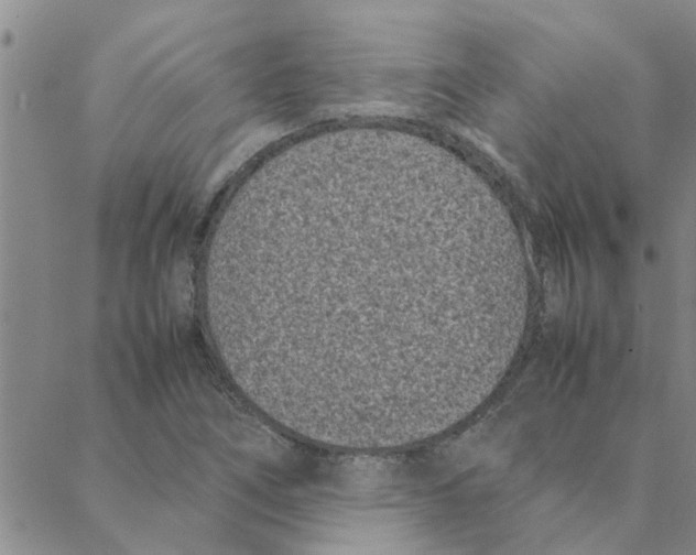 X0000088361266200706191209