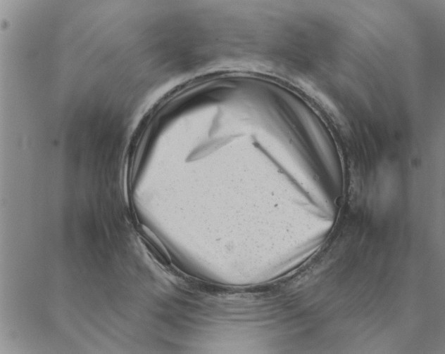 X0000088361272200706191209