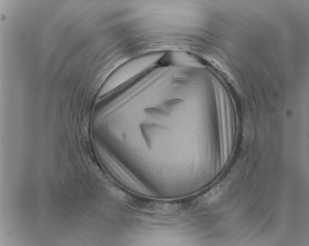 X0000088361273200706191209