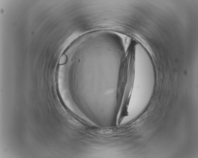 X0000088361291200706191209