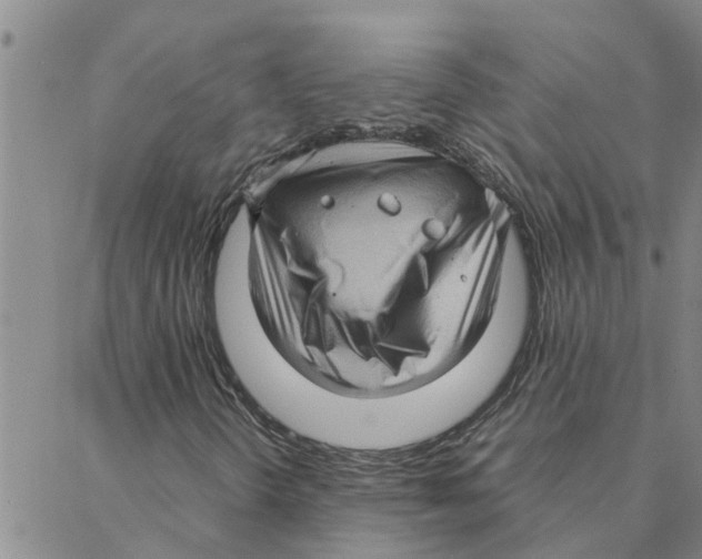 X0000088361298200706191208