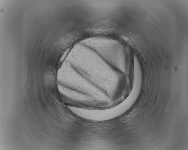 X0000088361300200706191208