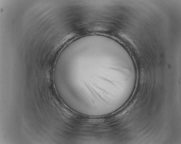 X0000088361305200706191208