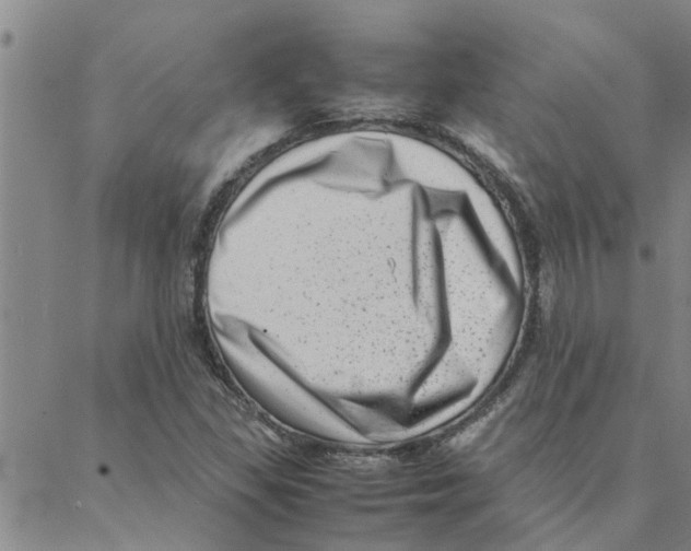 X0000088361309200706191208
