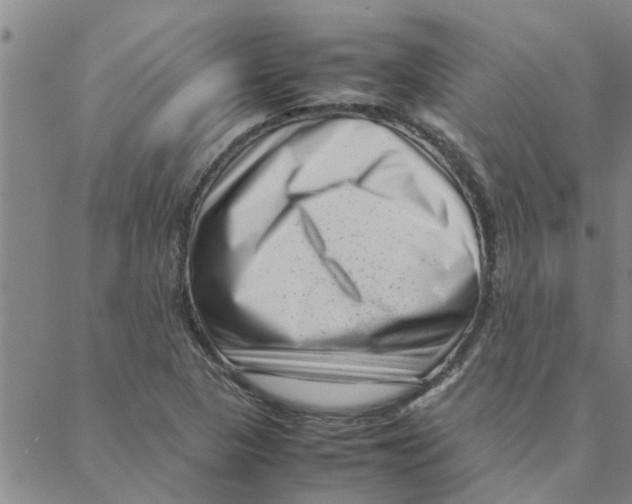 X0000088361313200706191208