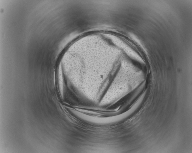 X0000088361320200706191208