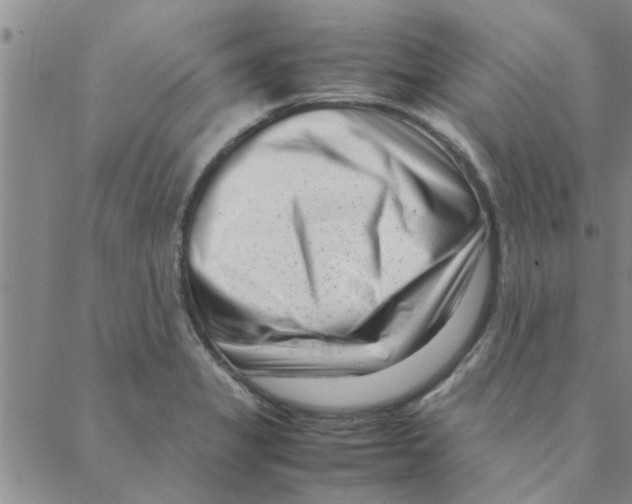 X0000088361325200706191208