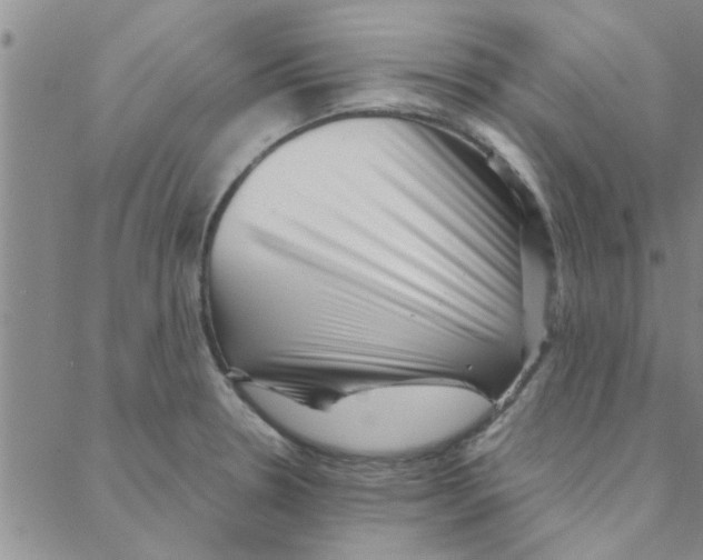 X0000088361330200706191209
