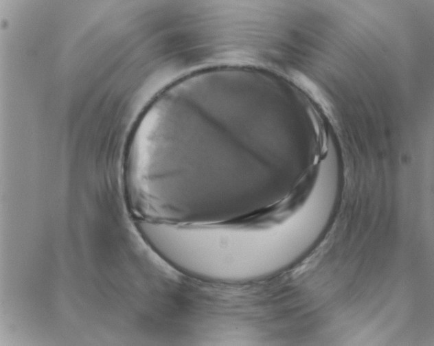 X0000088361334200706191209