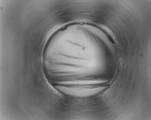 X0000088361335200706191209
