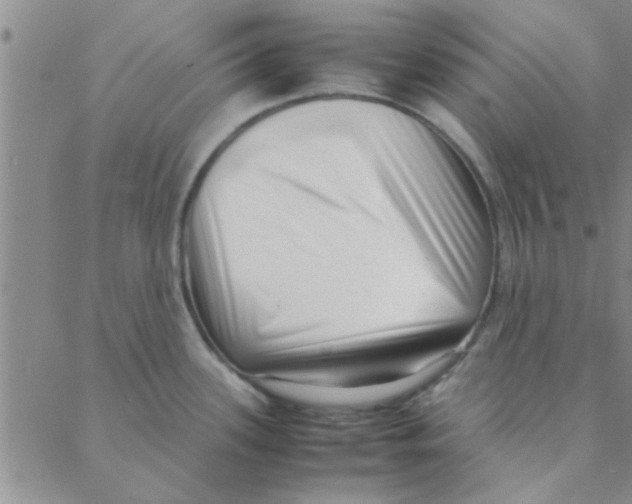 X0000088361339200706191209