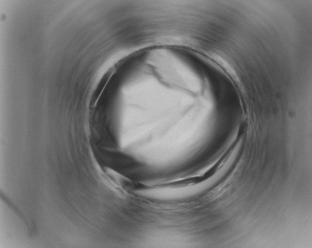 X0000088361342200706191209