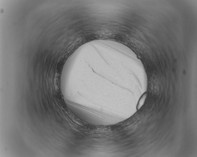 X0000088361346200706191208
