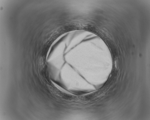 X0000088361347200706191208