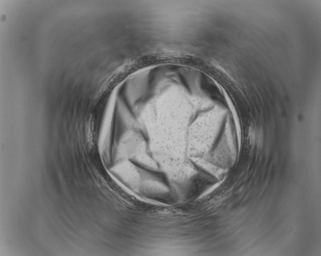 X0000088361348200706191208