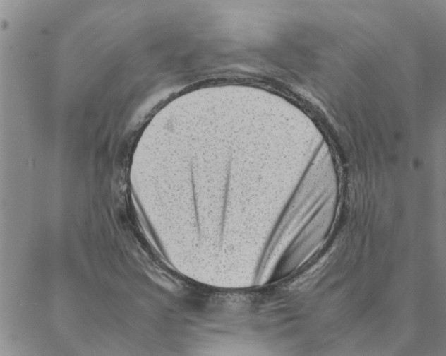X0000088361355200706191208