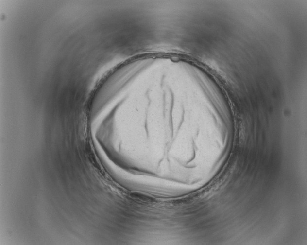 X0000088361358200706191208