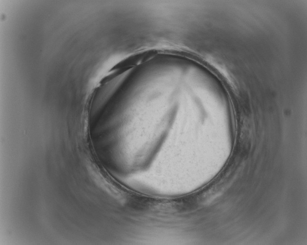 X0000088361367200706191208