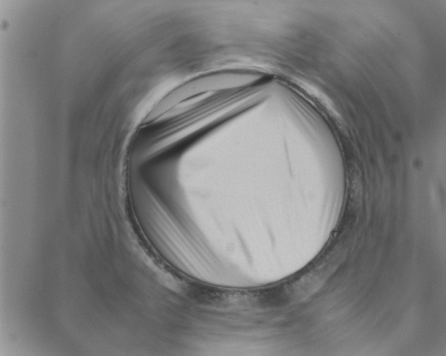 X0000088361375200706191207
