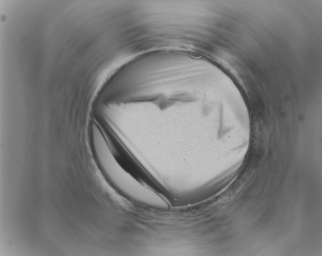 X0000088361379200706191207