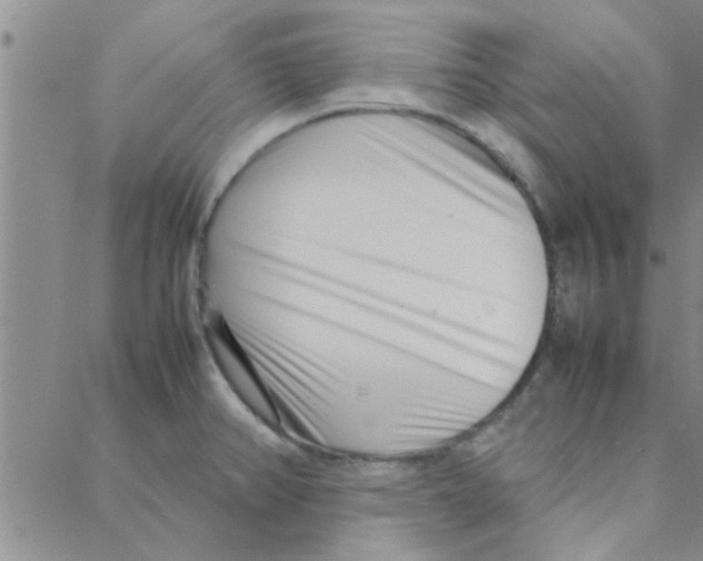 X0000088361382200706191207