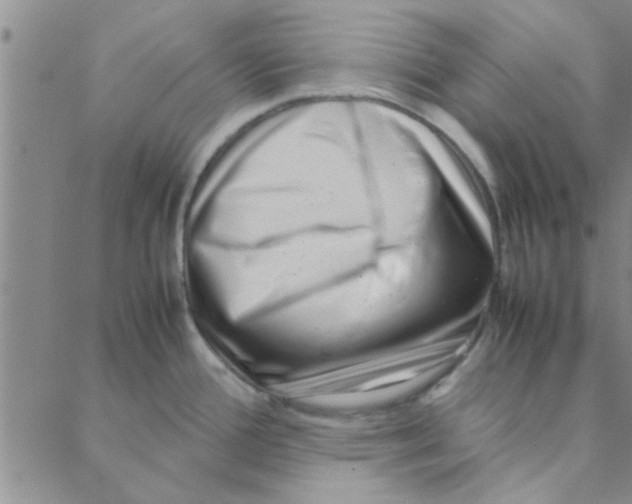 X0000088361388200706191207