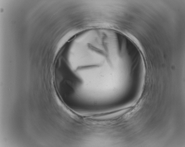 X0000088361389200706191207