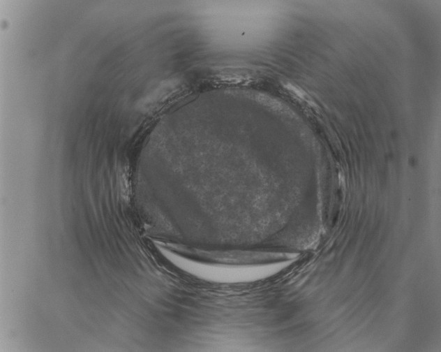 X0000088361394200706191206
