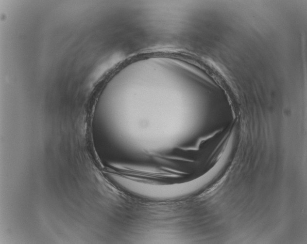 X0000088361406200706191207
