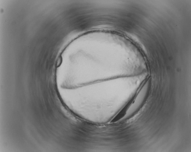 X0000088361421200706191207