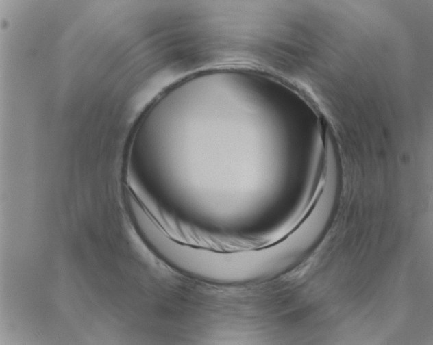 X0000088361422200706191207