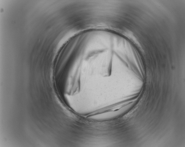 X0000088361424200706191207