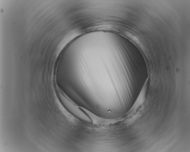 X0000088361426200706191207