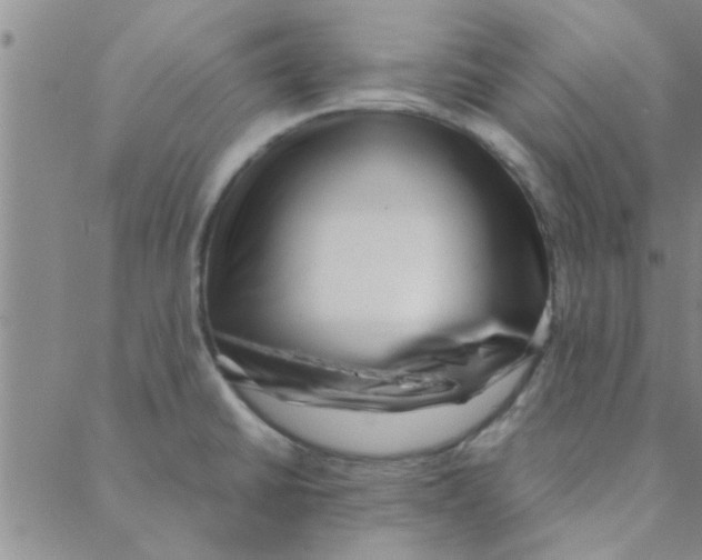 X0000088361430200706191207