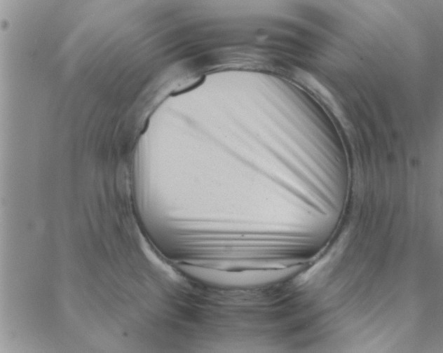 X0000088361433200706191207