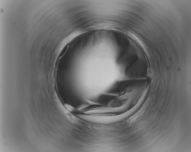 X0000088361434200706191207
