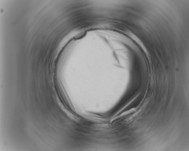X0000088361437200706191207