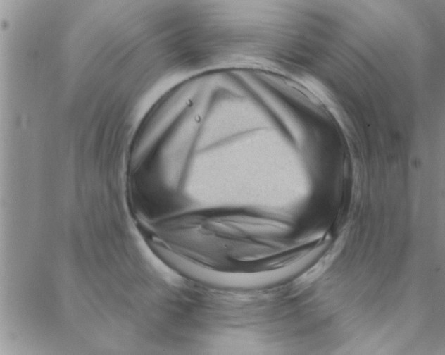 X0000088361438200706191207