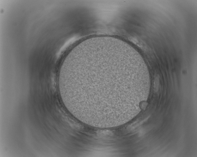 X0000088361454200706191206