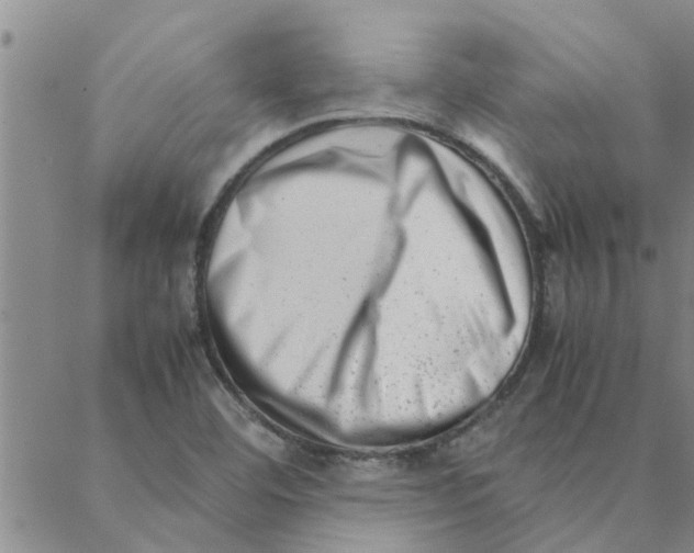 X0000088361460200706191206
