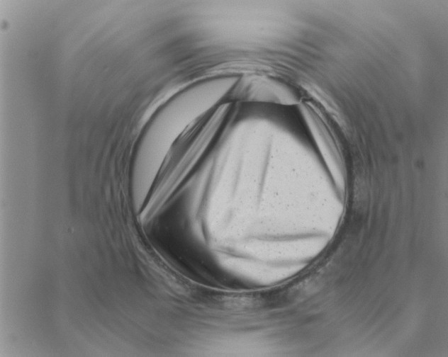 X0000088361465200706191206