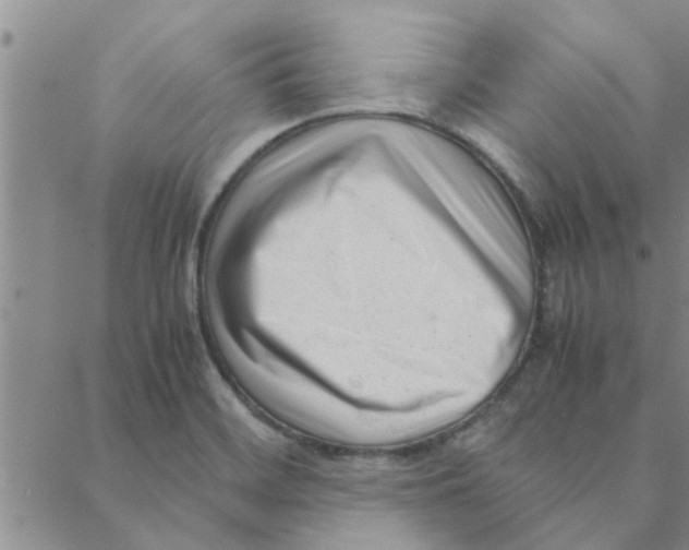 X0000088361468200706191206