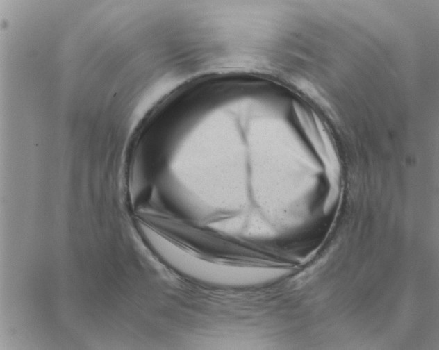 X0000088361469200706191206