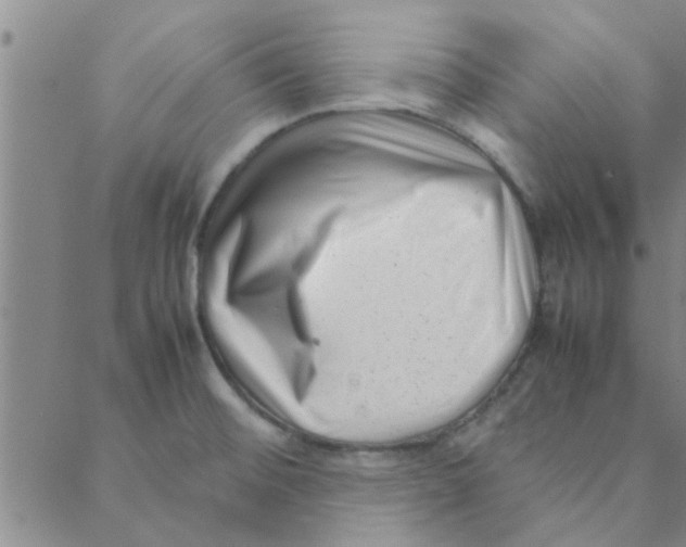 X0000088361476200706191206