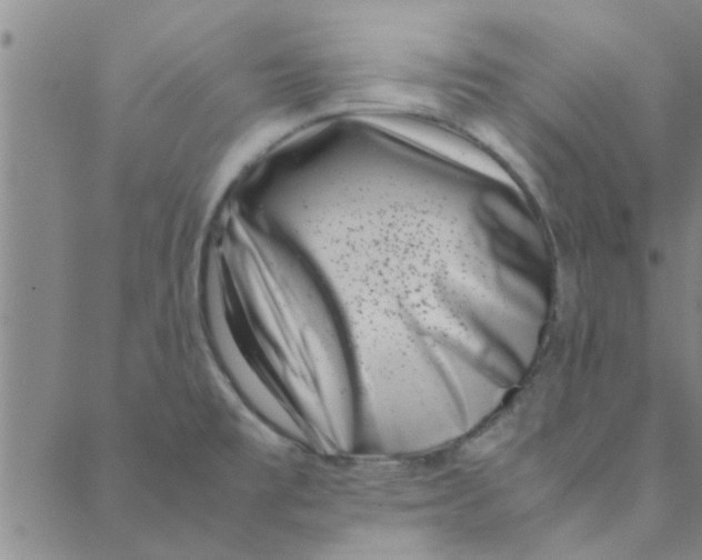 X0000088361477200706191206