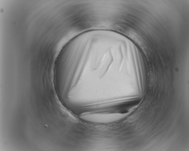 X0000088361480200706191206