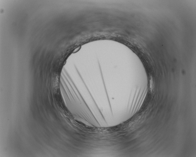 X0000088361492200706191205