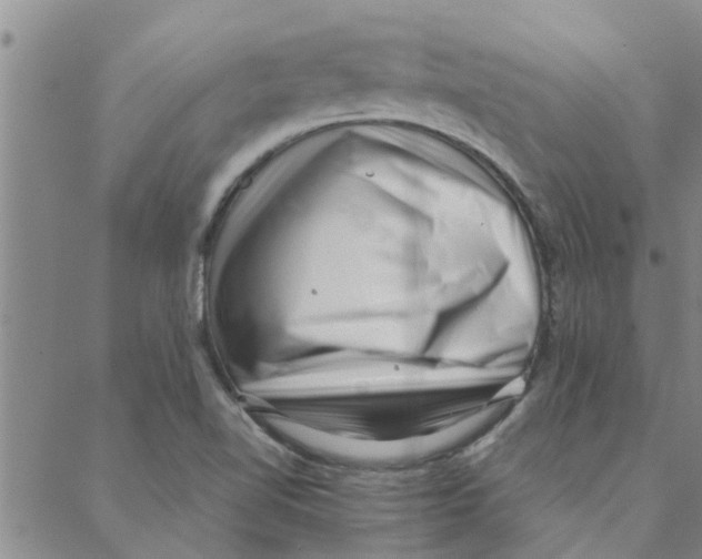 X0000088361510200706191205