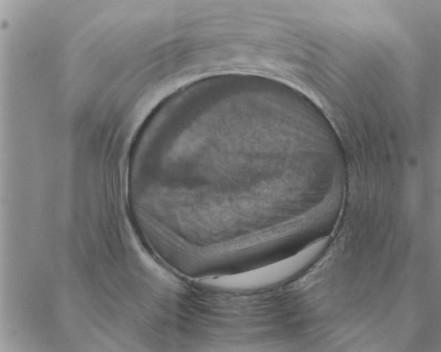 X0000088361515200706191205